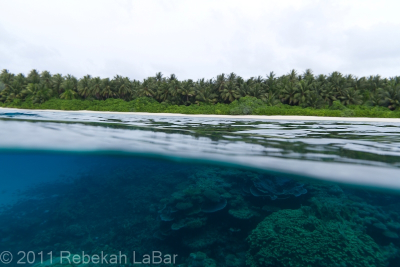 Over-under photo attempt, while snorkeling at Bigej