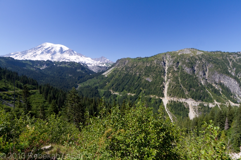 Mt Rainier and avalanche chutes