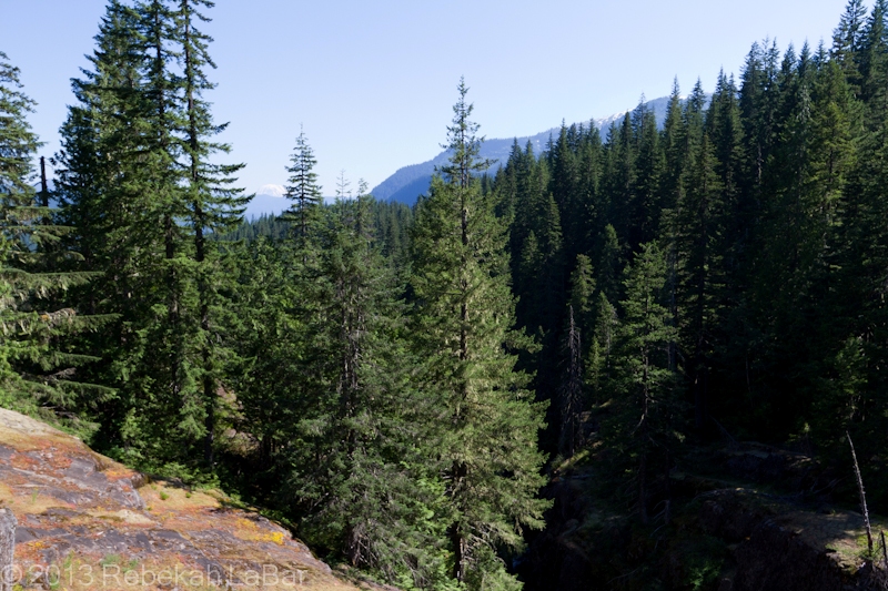 Looking down towards the Cowlitz River, through the lovely thick forests near Mt Rainier (Mt Adams is faintly visible in the background)