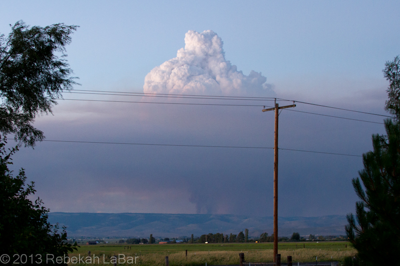 Pyrocumulus cloud growing above a smoke column northeast of Ellensburg, Washington