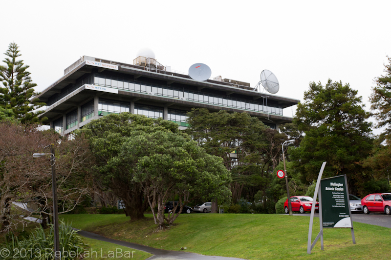 MetService, where I'll be working